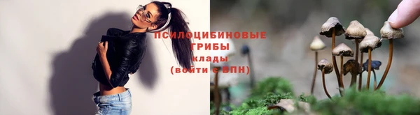 гашик Инсар