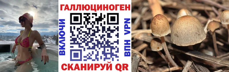 Галлюциногенные грибы мухоморы  Морозовск 